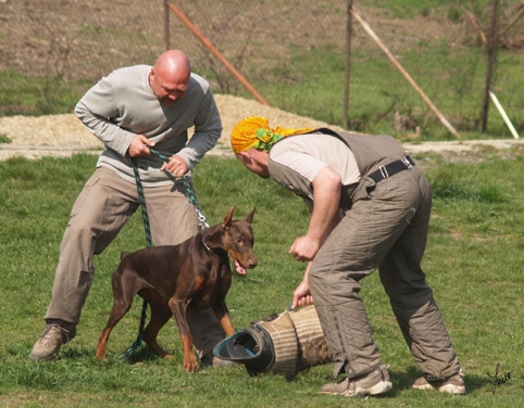 Training 4. 4. 2007